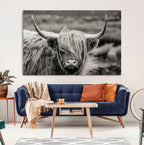 Cow Focus Canvas Wall Art Print