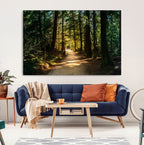 Sunlit Forest Pathway Canvas Print | 3 Panel Large Nature Wall Art