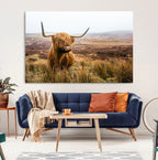 Scottish Highland Cow Canvas Wall Art, Rustic Farmhouse Decor