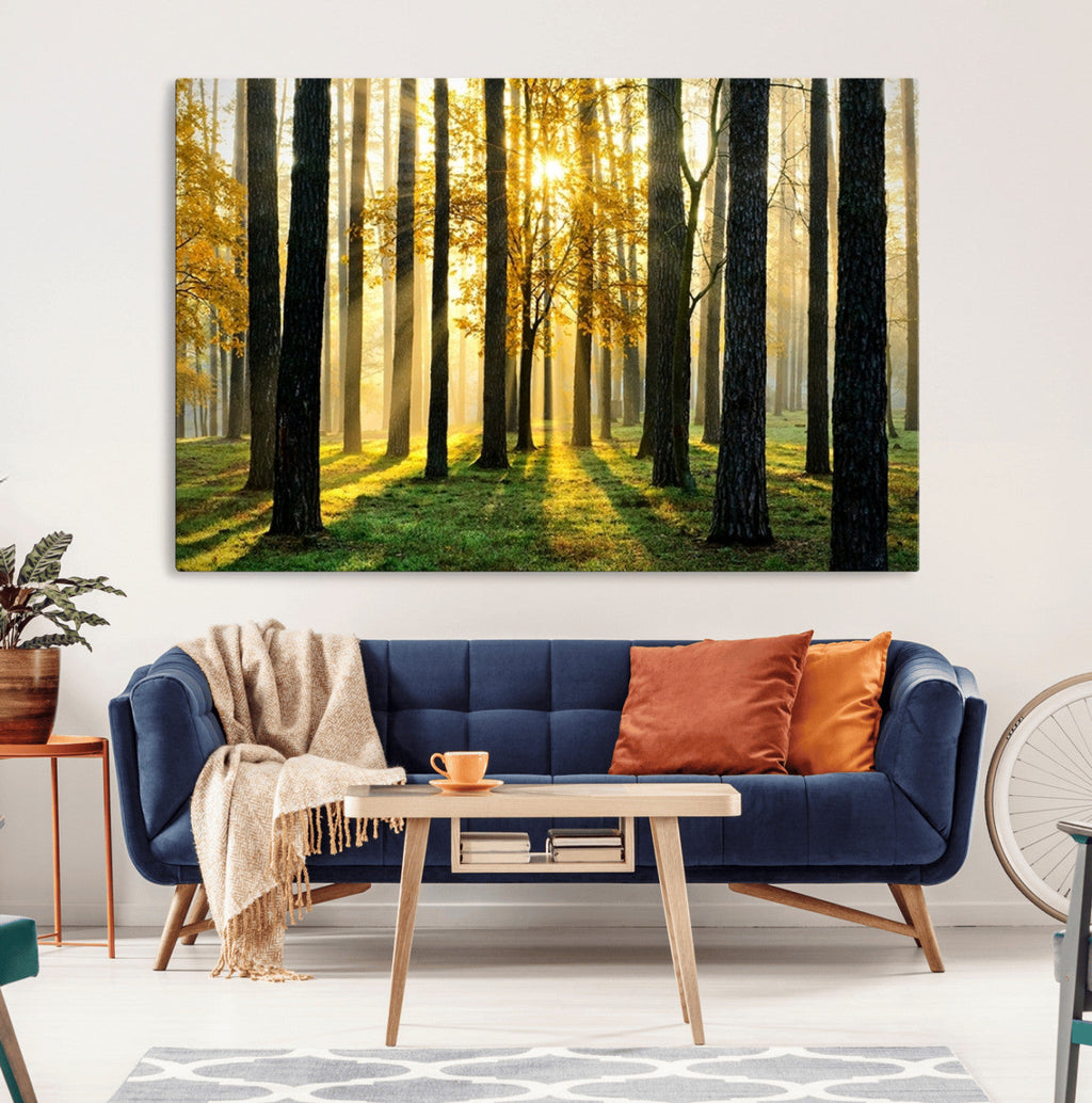 Sunlit Forest Wall Art Canvas Print, Large Framed Woodland Scene with Golden Light