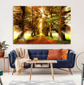 Sunshine in Forest and Trees Wall Art Canvas Print
