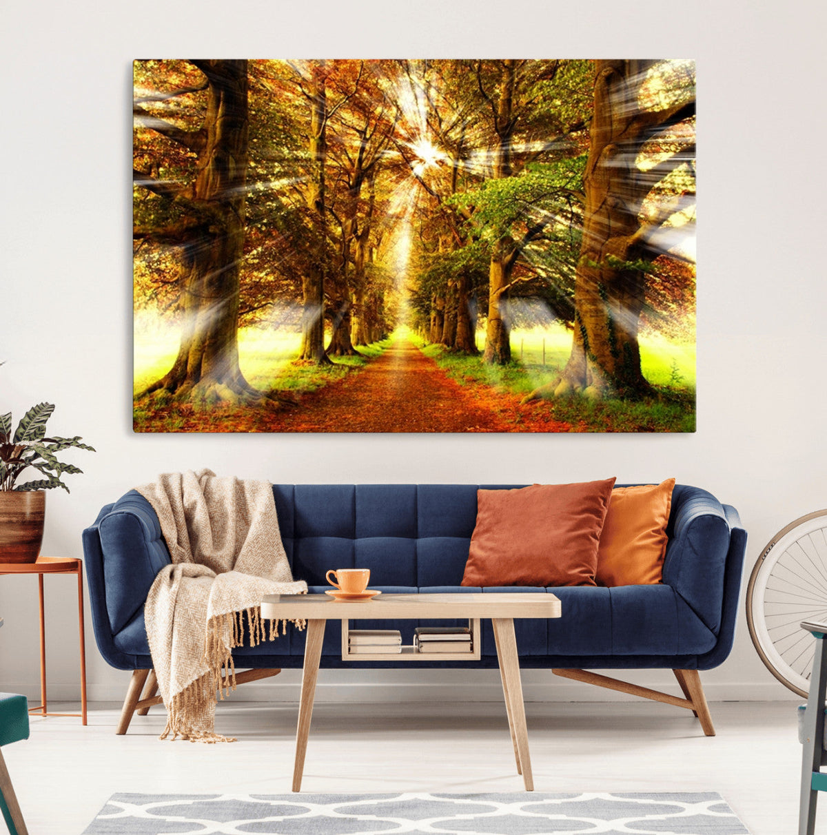 Sunshine in Forest and Trees Wall Art Canvas Print