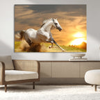 Large Wall Art Galloping White Horse at Sunset Canvas Print