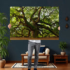 Angel Oak Tree Wall Art Canvas Print | Forest Tree Nature Photography Print