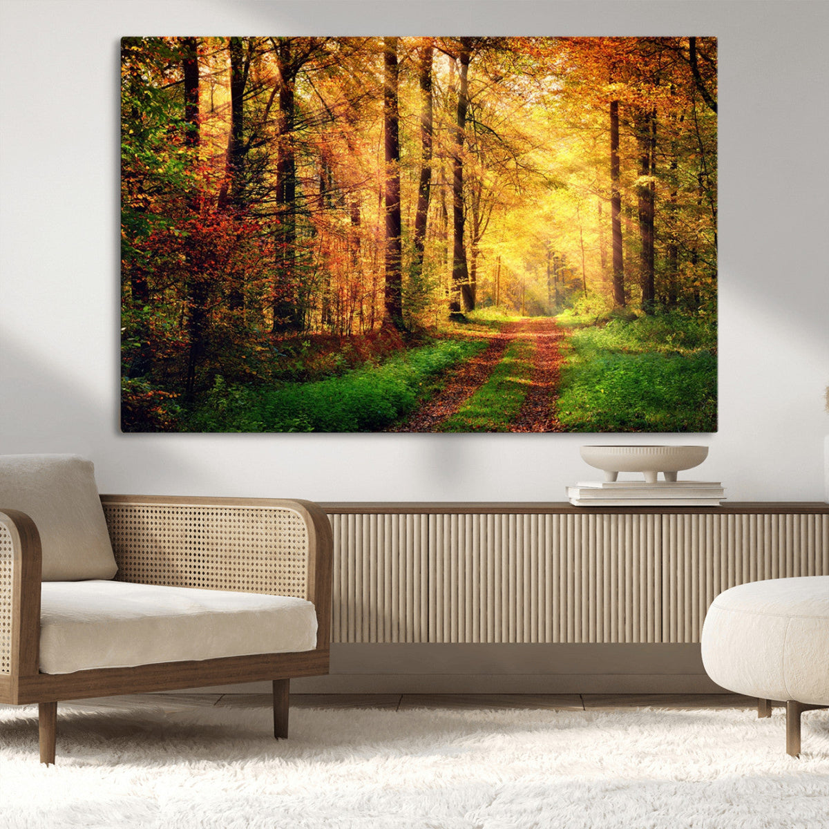 Sunlight Through Trees Wall Art Canvas Print | Autumn Forest Wall Art