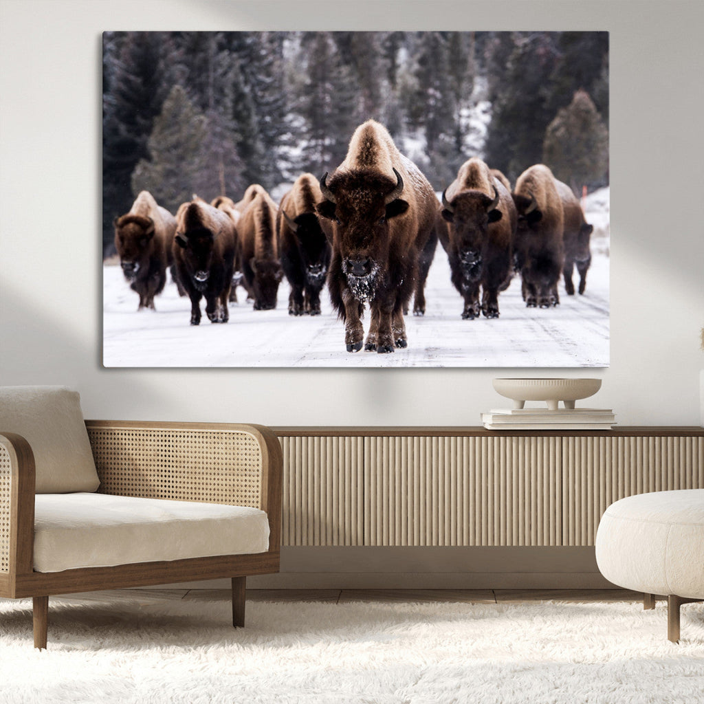 Bison Wall Art Canvas Print, Bison Herd Canvas Wall Art