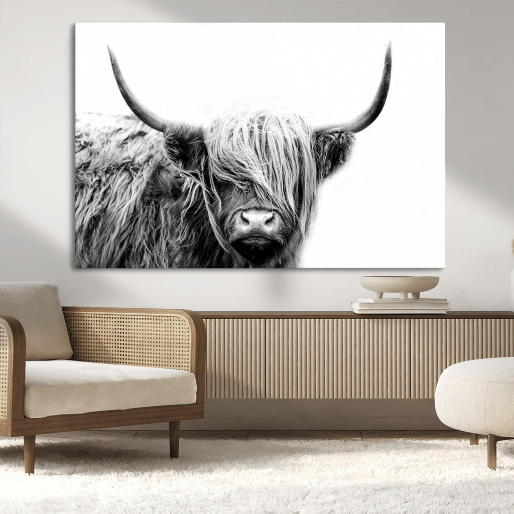 Black White Scottish Highland Cow Cattle Art Print Farmhouse Decor