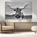 Texas Longhorn Cow Wall Art, Texas Longhorn Canvas, Cattle