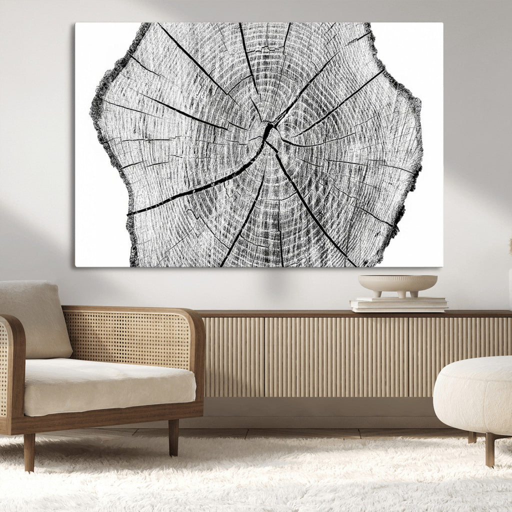 Rustic Tree Ring Wall Art Canvas Print, Framed and Ready to Hang