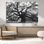 Ancient Oak Wall Art Canvas Print | Gnarled Tree with Twisted Branches