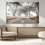Cypress Tunnel Wall Art | Framed Misty Road Canvas Artwork