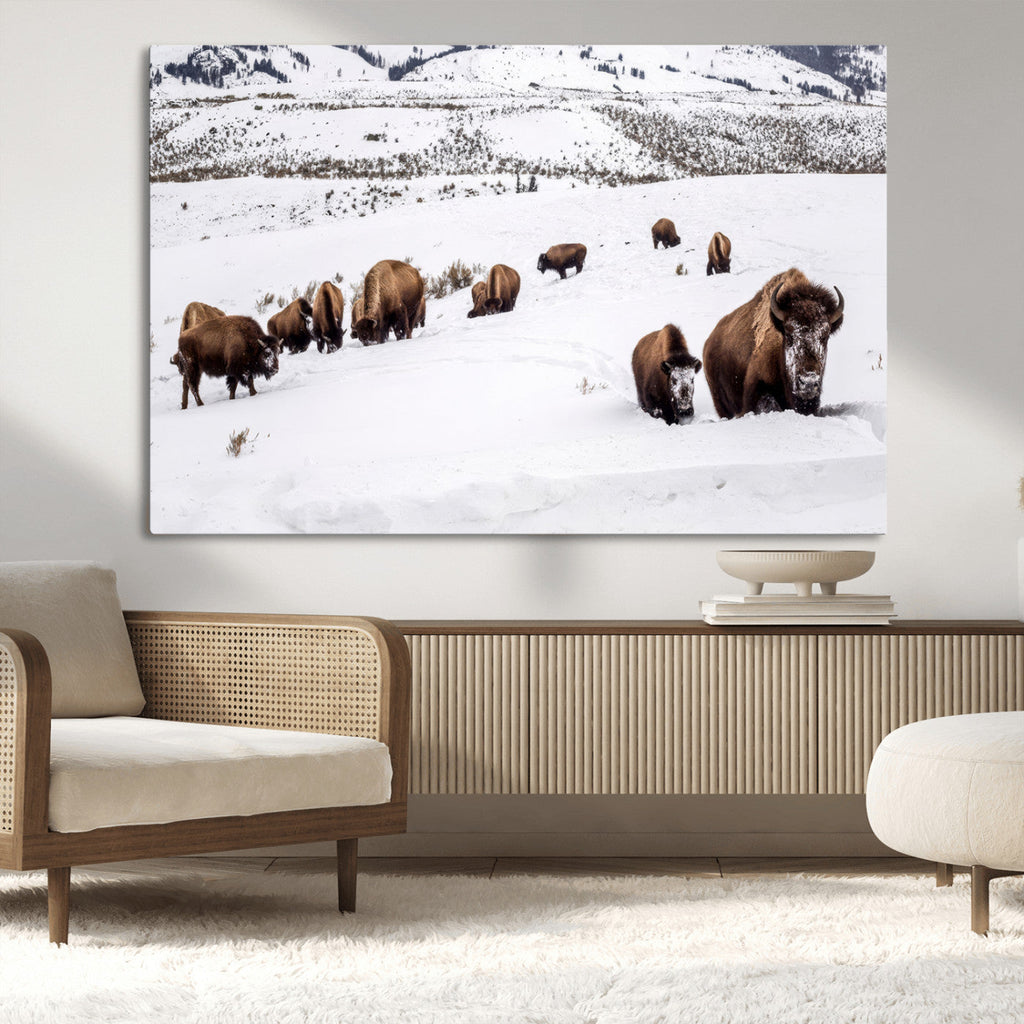 Bison Herd Wall Art Canvas Print, Framed Western Wildlife Decor, Snowy Mountain Valley