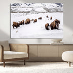 Bison Herd Wall Art Canvas Print, Framed Western Wildlife Decor, Snowy Mountain Valley