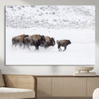Bison Herd Wall Art Canvas Print, Framed Snowy Bison Scene, Winter Wildlife Decor