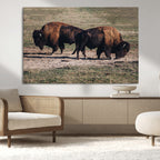 Bison Wall Art Canvas Print, Framed Western Wildlife Modern Ranch
