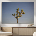 Joshua Tree Wall Art Canvas Print, Framed Southwestern Desert Landscape