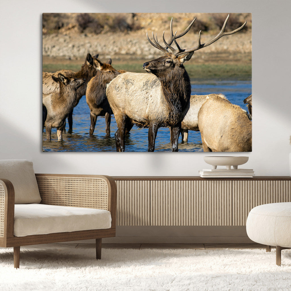 Wild Elk Wall Art Canvas Print, Framed Neutral Wildlife Scene