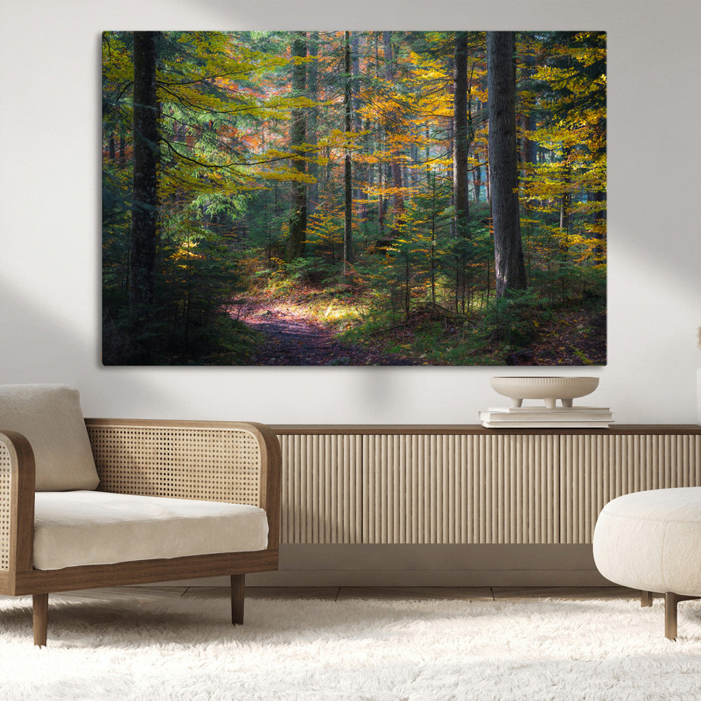 Autumn Forest Wall Art Canvas Print, Framed Fall Woodland with Golden Leaves