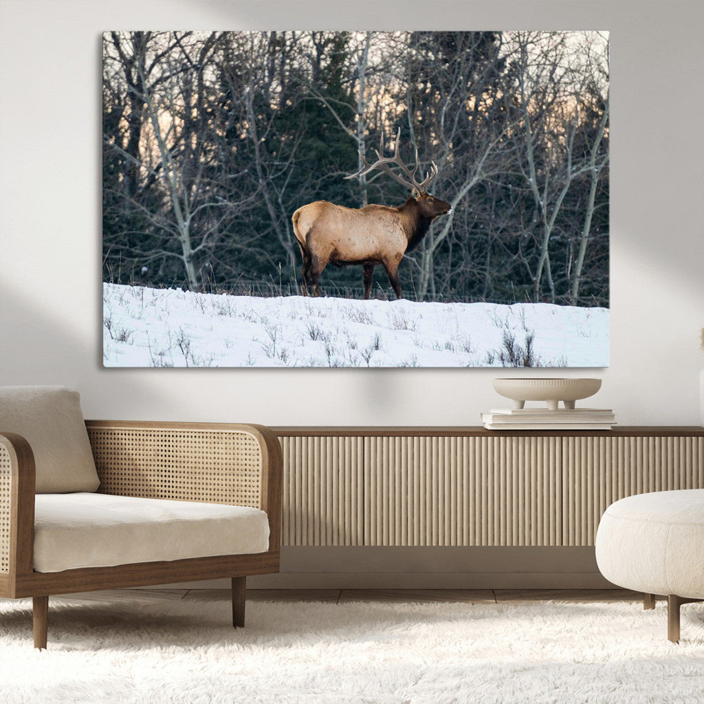 Wild Elk Wall Art Canvas Print, Framed Winter Wildlife in a Snowy Forest