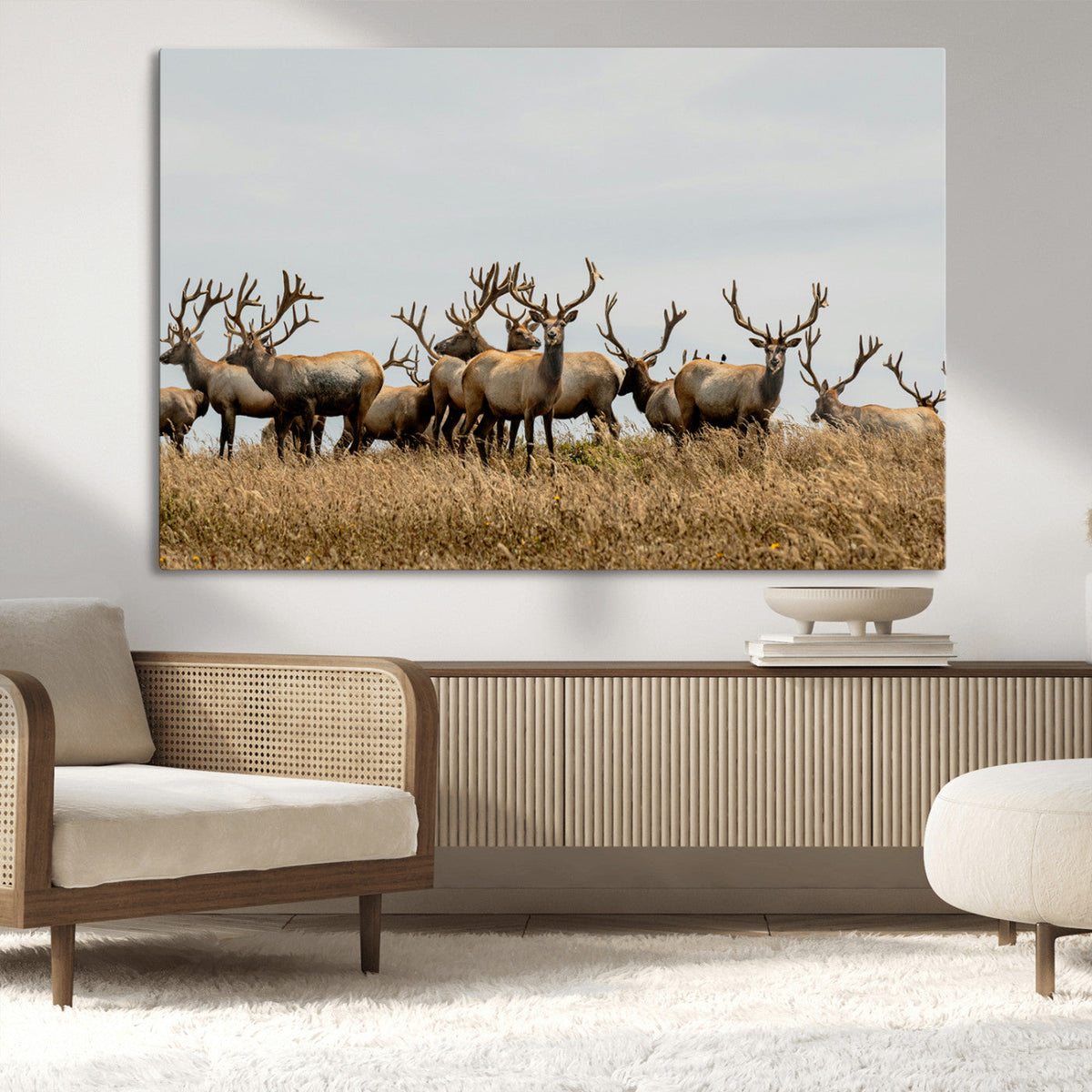 Elk Herd Wall Art Canvas Print, Framed Wildlife Photography Art, Majestic Antlers Rustic Wildlife Decor