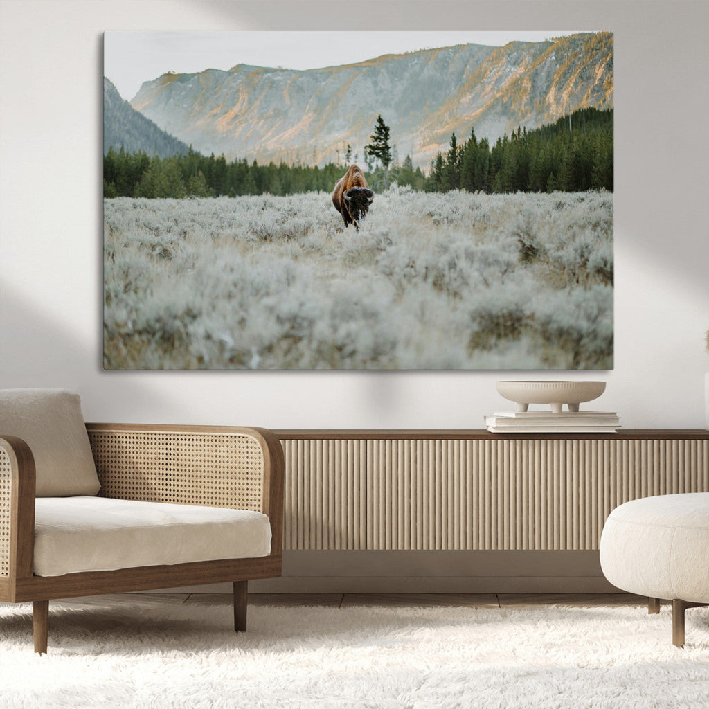 Wild Bison Wall Art Canvas Print, Majestic Mountain Pines and Misty Wilderness