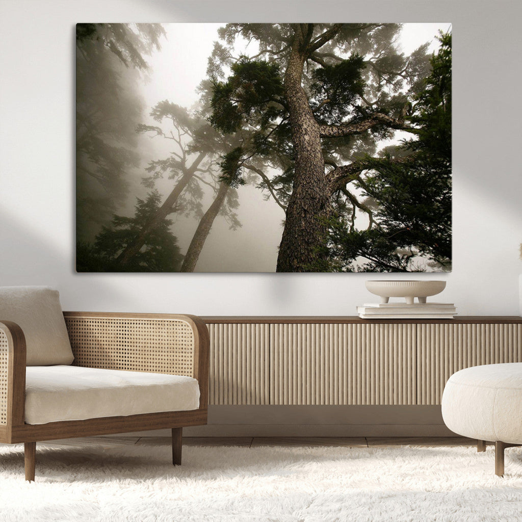 Misty Forest Wall Art Canvas Print, Framed Tall Trees in Foggy Atmosphere