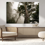 Misty Forest Wall Art Canvas Print, Framed Tall Trees in Foggy Atmosphere