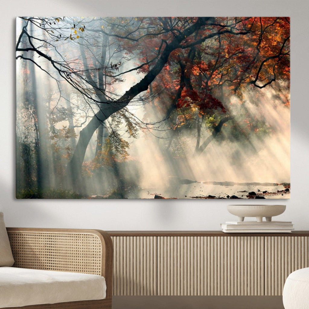 Sunlit Autumn Forest Wall Art Canvas Print