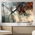 Sunlit Autumn Forest Wall Art Canvas Print
