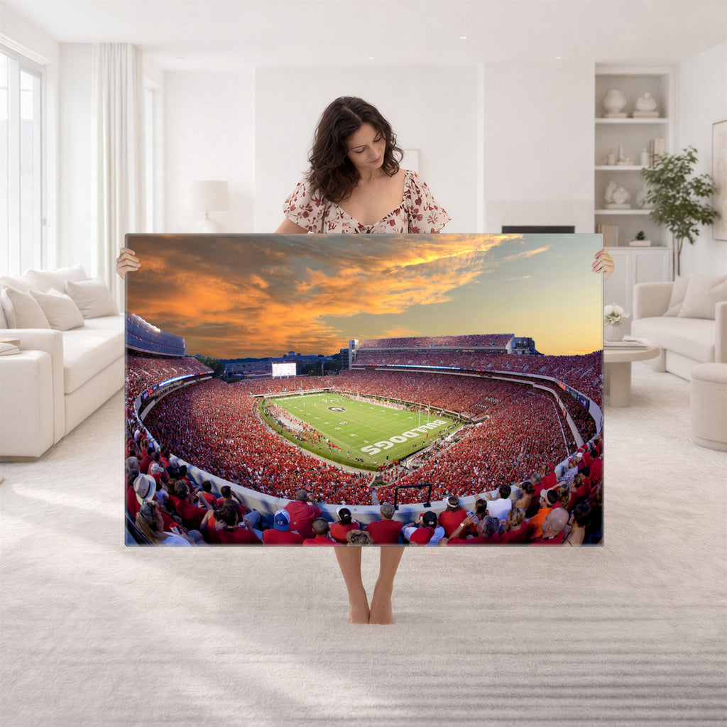 Dooley Stadium Wall Art, Sports Arena Canvas Print, Dooley Field, Framed and Ready to Hang