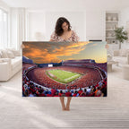 Dooley Stadium Wall Art, Sports Arena Canvas Print, Dooley Field, Framed and Ready to Hang