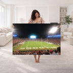 Dooley Stadium Wall Art, Sports Arena Panoramic Canvas