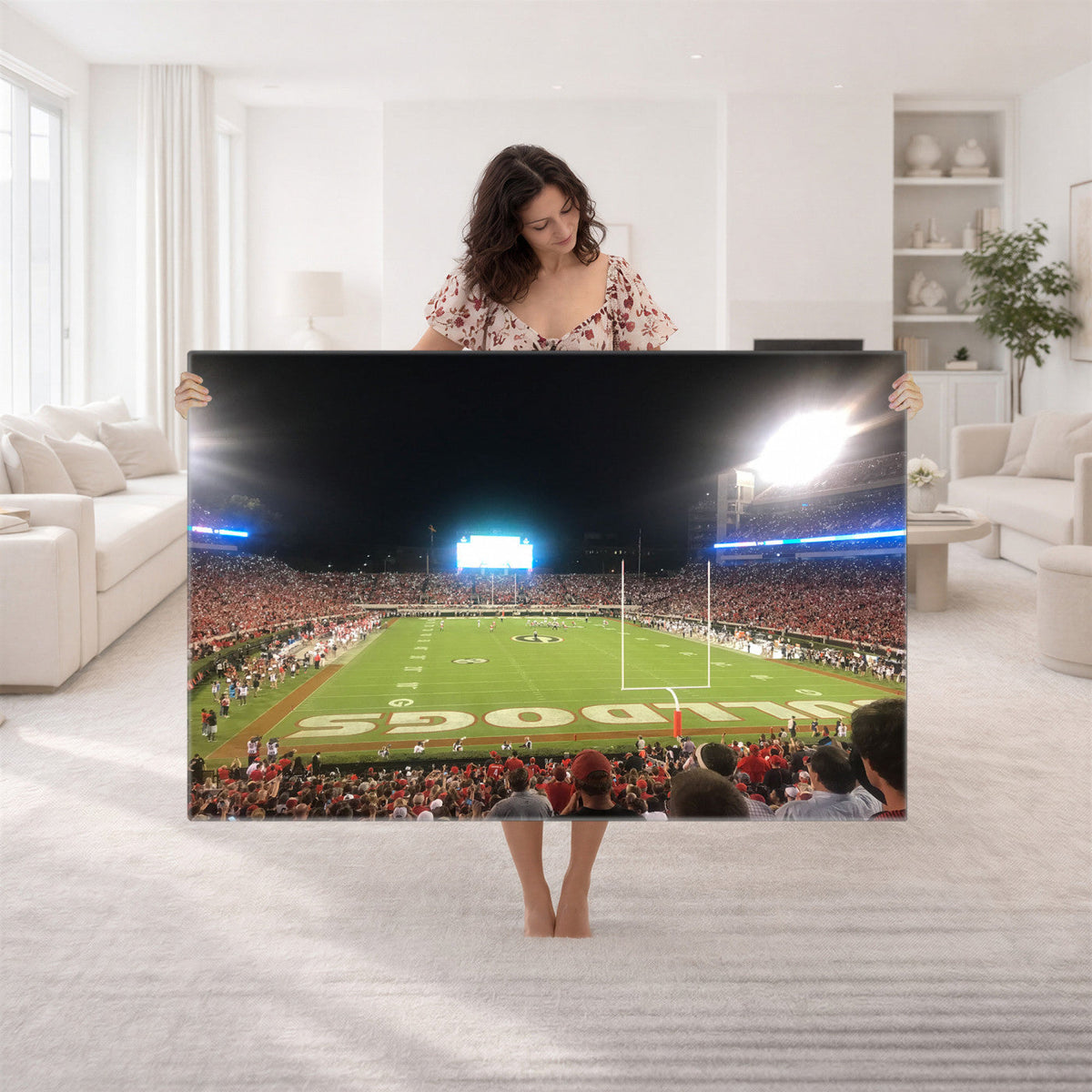 Dooley Stadium Wall Art, Sports Arena Panoramic Canvas
