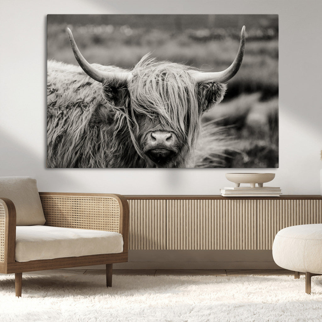 Cow Focus Canvas Wall Art Print