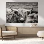 Cow Focus Canvas Wall Art Print