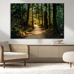 Sunlit Forest Pathway Canvas Print | 3 Panel Large Nature Wall Art