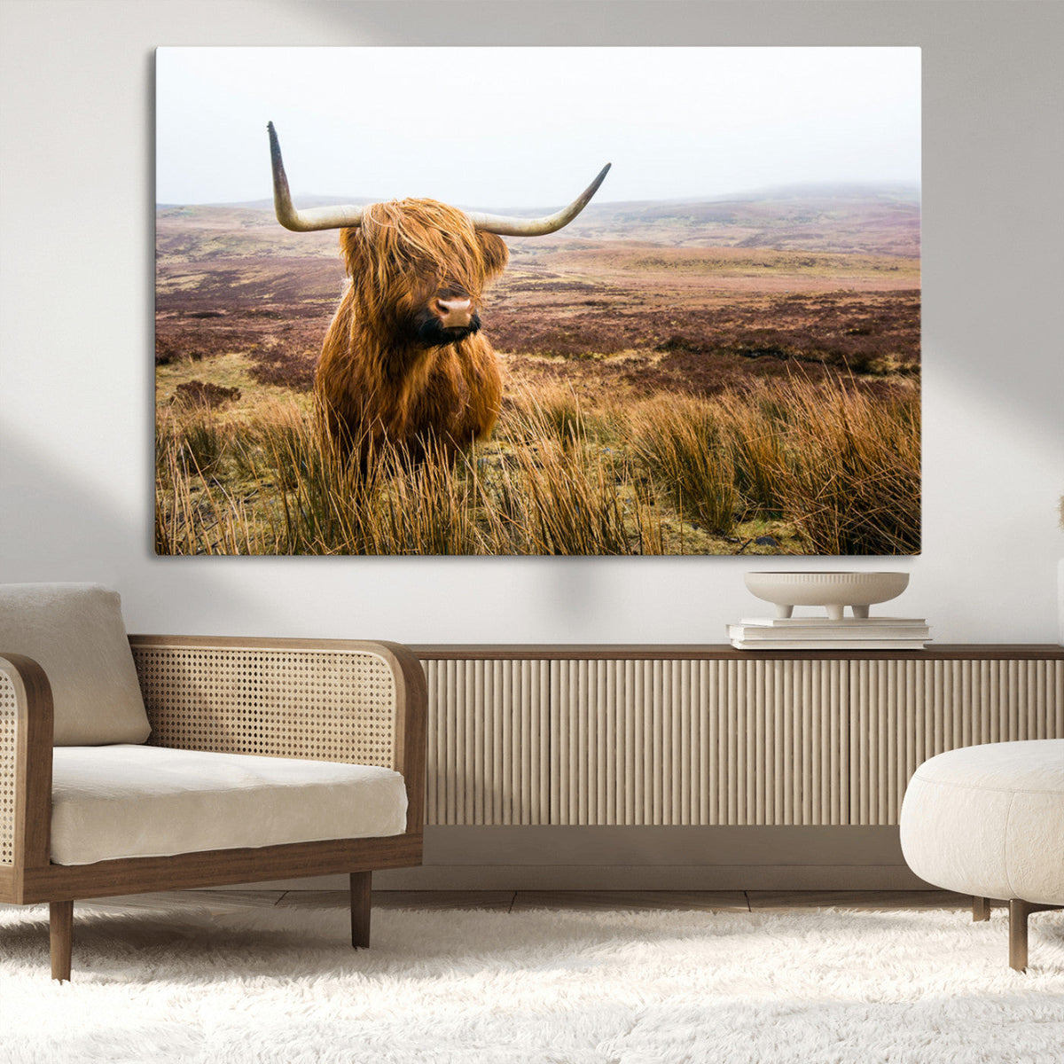 Scottish Highland Cow Canvas Wall Art, Rustic Farmhouse Decor