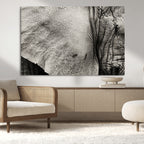 Elephant Wall Art Canvas Print