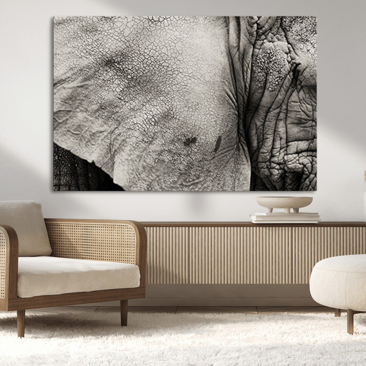 Elephant Wall Art Canvas Print