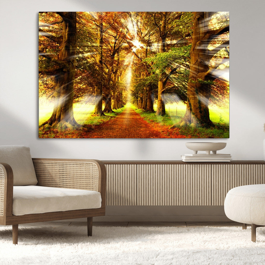 Sunshine in Forest and Trees Wall Art Canvas Print