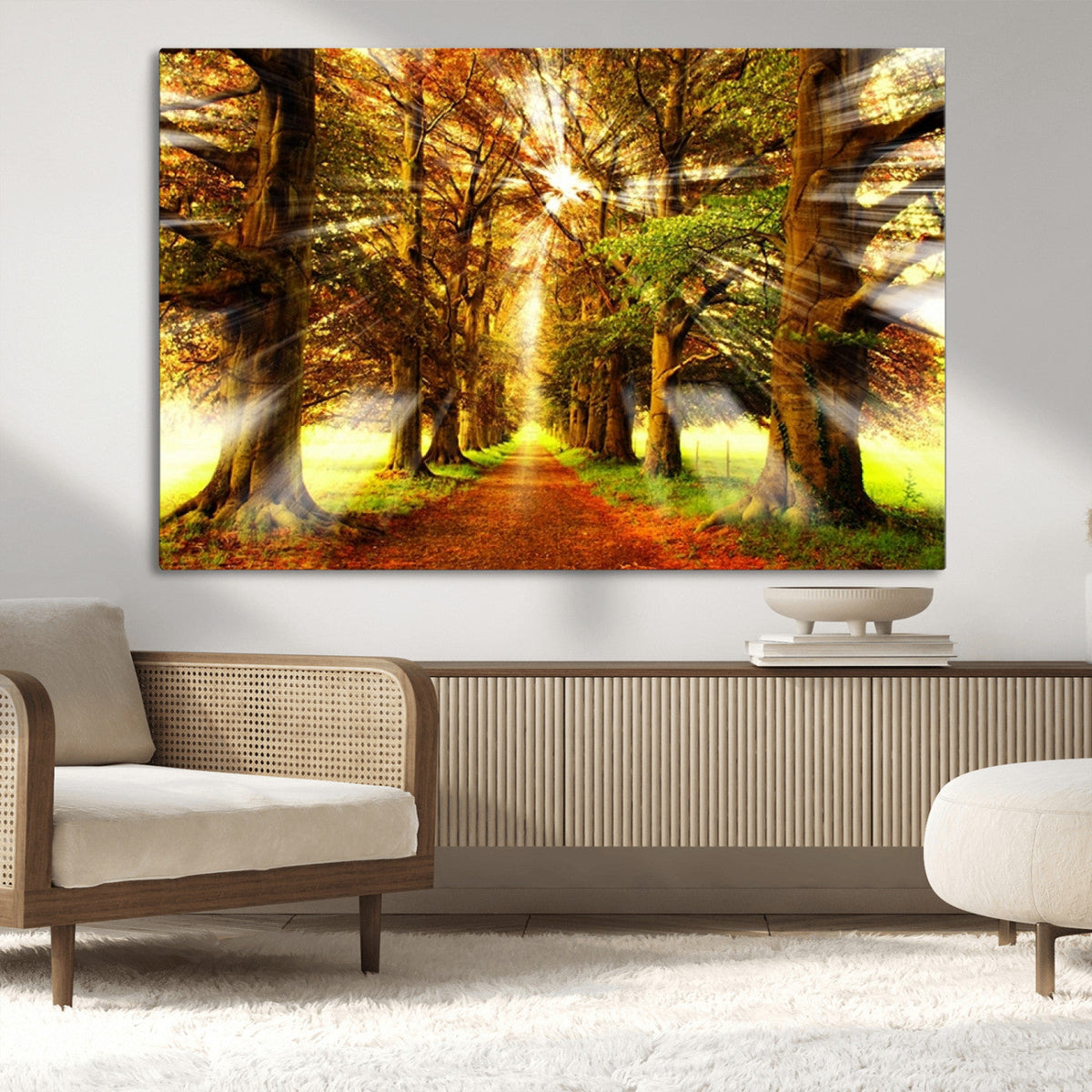 Sunshine in Forest and Trees Wall Art Canvas Print