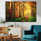 Sunlight Through Trees Wall Art Canvas Print | Autumn Forest Wall Art