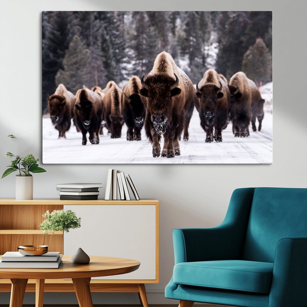 Bison Wall Art Canvas Print, Bison Herd Canvas Wall Art