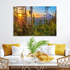 Forest Sunset Wall Art Canvas Print | Green Pines in Golden Light