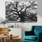 Ancient Oak Wall Art Canvas Print | Gnarled Tree with Twisted Branches