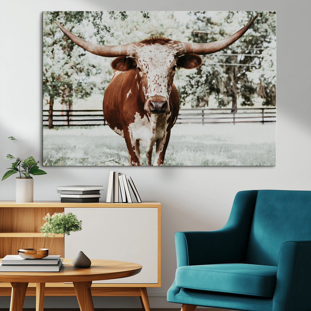 Texas Longhorn Wall Art Canvas Print | Framed Spotted Brown and White Bull