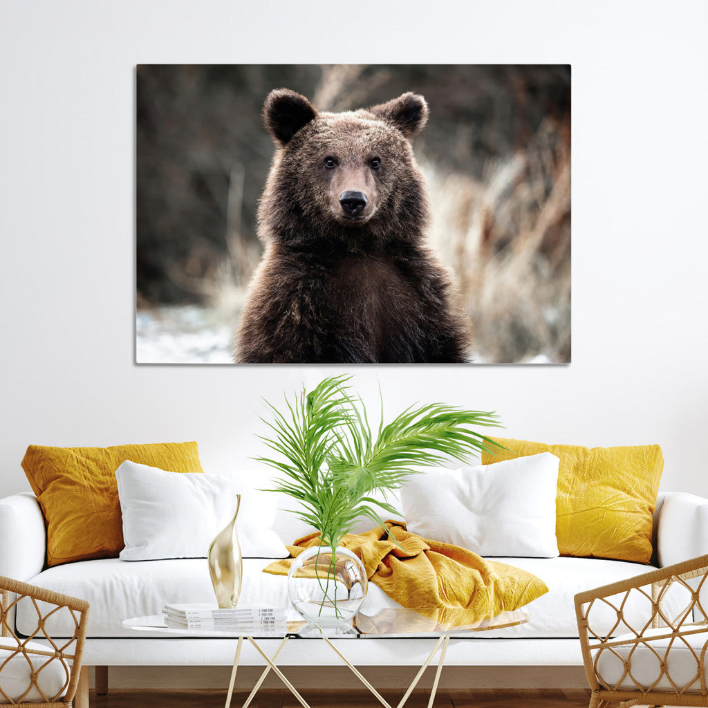 Brown Bear Wall Art Canvas Print, Framed Majestic Woodland Wildlife Cabin Art