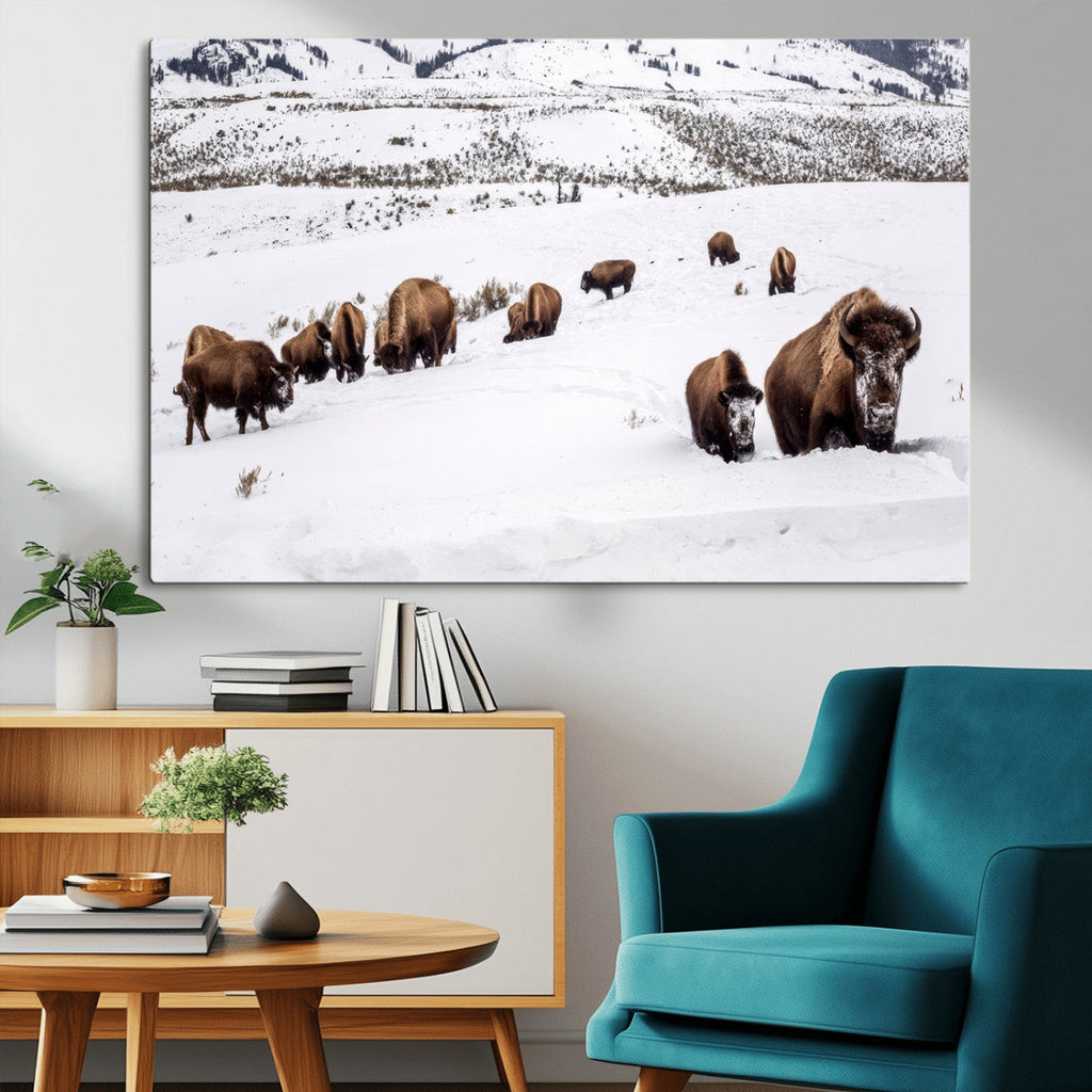 Bison Herd Wall Art Canvas Print, Framed Western Wildlife Decor, Snowy Mountain Valley