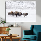 Bison Herd Wall Art Canvas Print, Framed Snowy Bison Scene, Winter Wildlife Decor