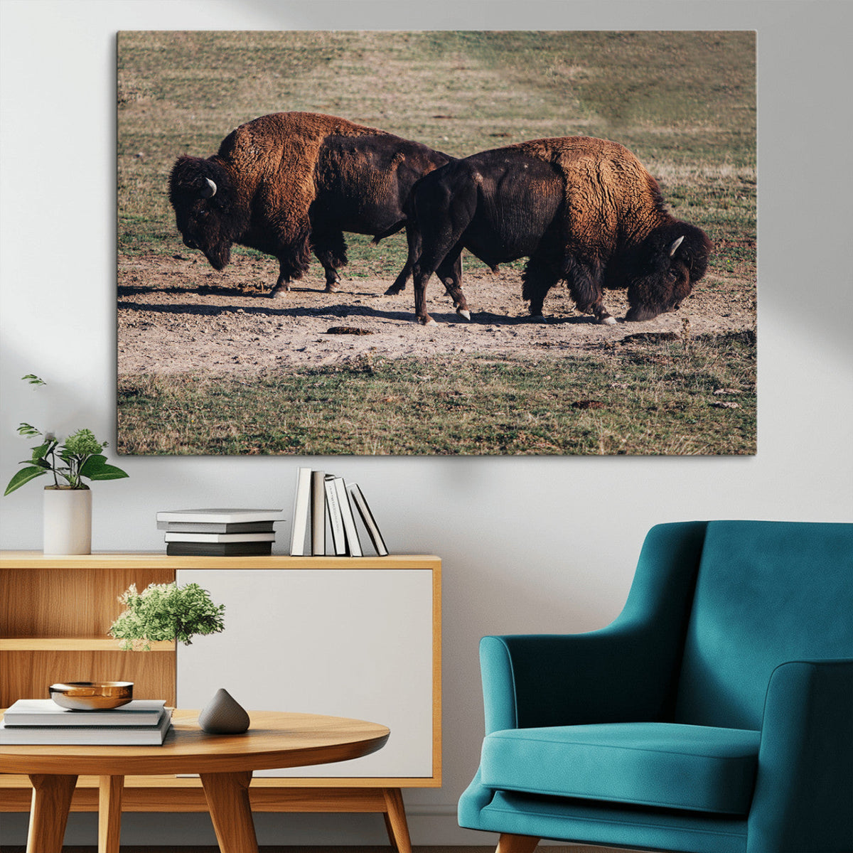 Bison Wall Art Canvas Print, Framed Western Wildlife Modern Ranch